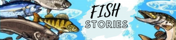 FISH stories
